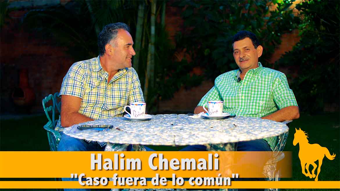 Montando el Punto