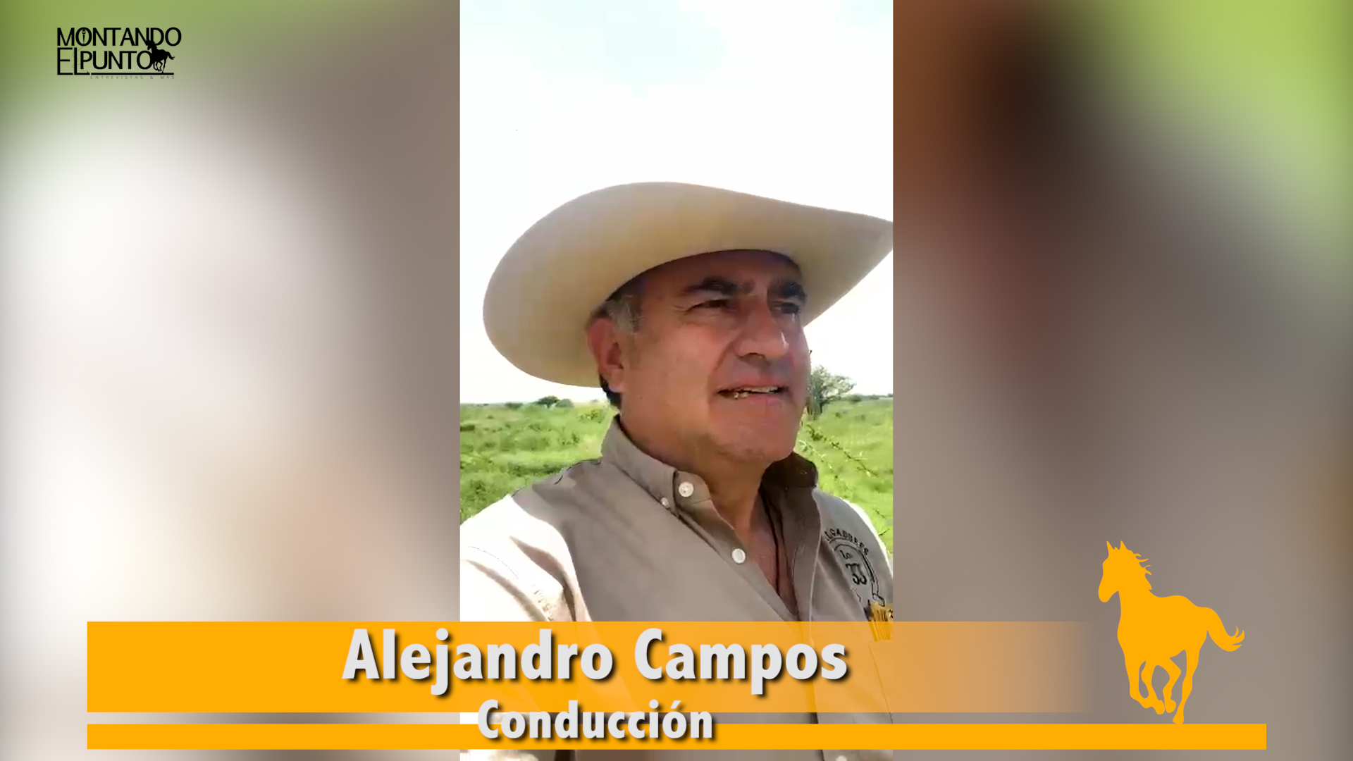 MP Caballos